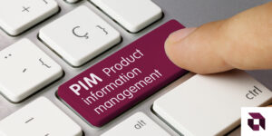 Product Information Management Systems - PIM